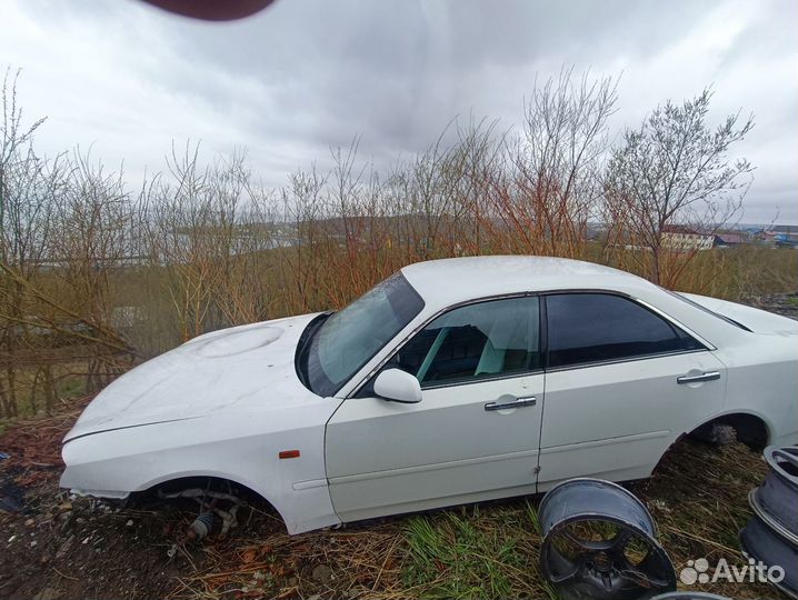 Nissan cedric y34 в разбор