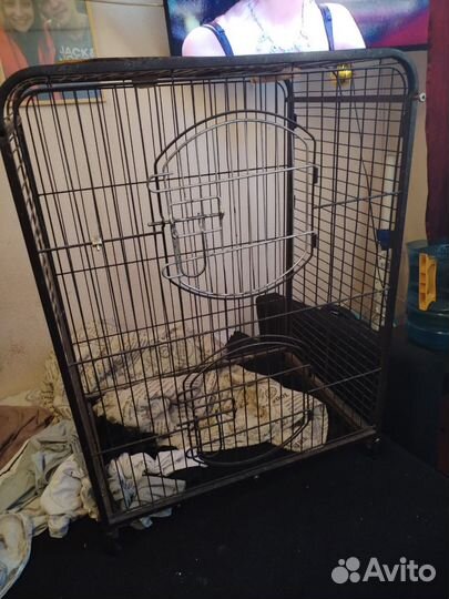 Клетка для шиншиллы бу