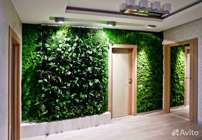 Композиции из мха на заказ