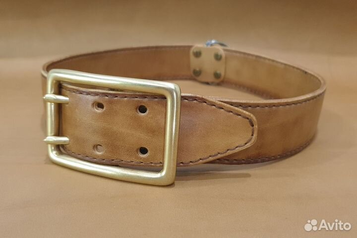 Ошейник для собак