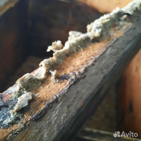 Продам прополис