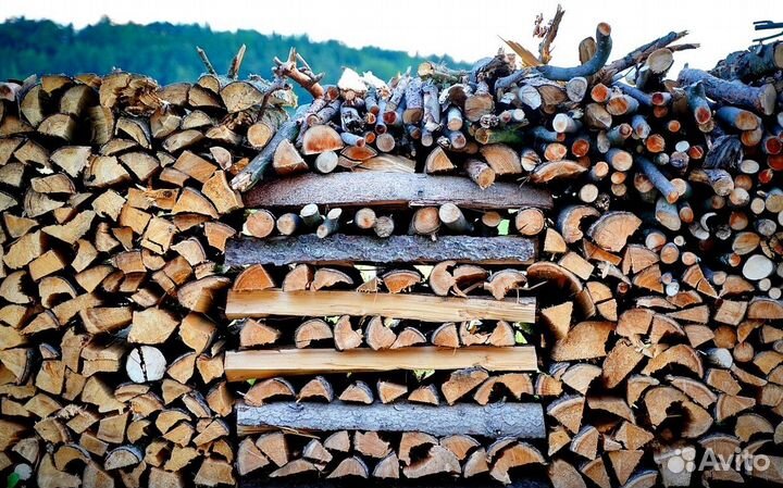 Подсушенные дрова