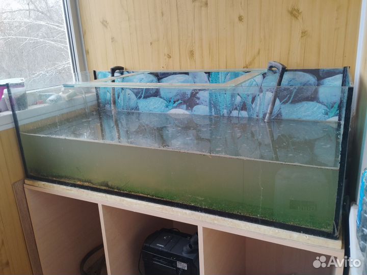 Аквариум