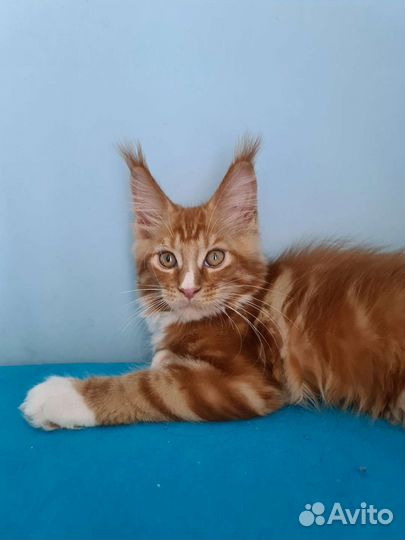 Милый малыш