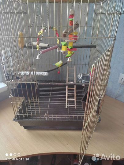 Клетка для среднего попугая