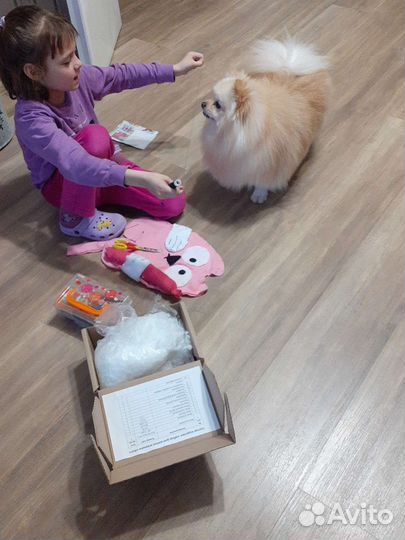 Передержка + свободный выгул собак, грызунов