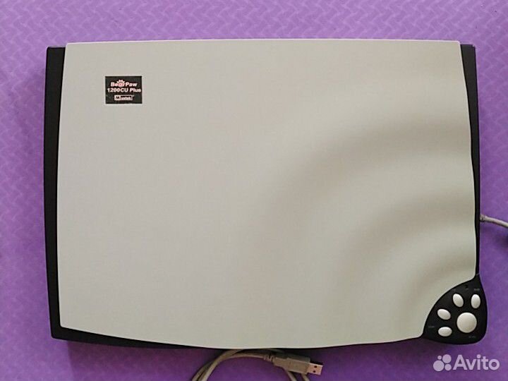 Сканер Mustek Bear Paw