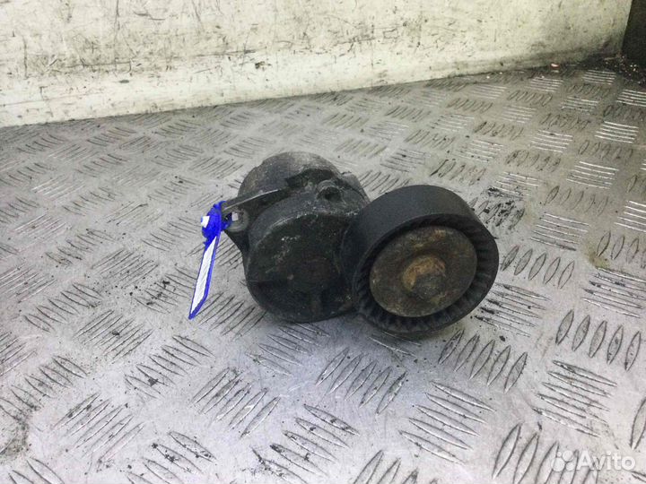 Натяжитель ремня генератора BMW 3-Series M43B19 (1