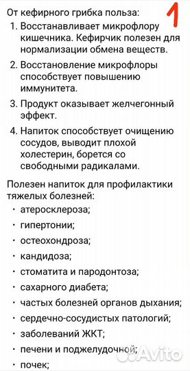 Тибетский гриб кефирный молочный