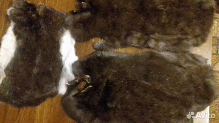 Шкурка кролика