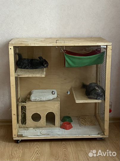 Шиншилла+клетка