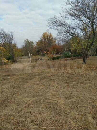 Участок 8 сот. (СНТ, ДНП)