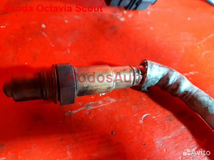Лямбда-зонд BVY Skoda Octavia Scout