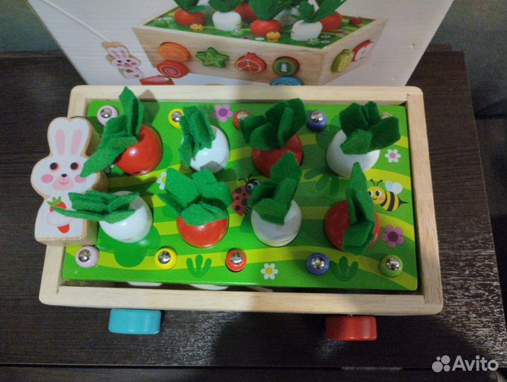 Сортер развивашка