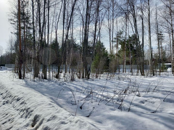 Участок 9,3 сот. (СНТ, ДНП)