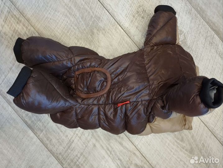 Одежда для собак