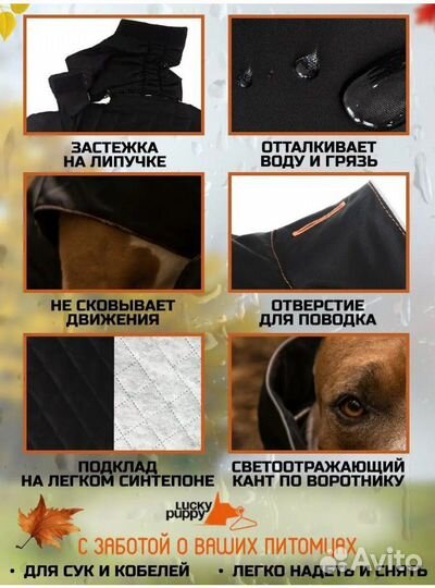 Попона для собак