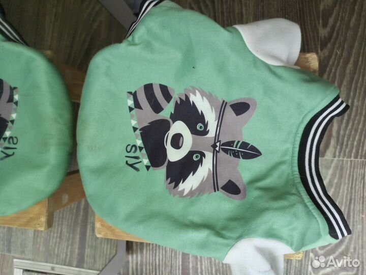 Одежда для собак