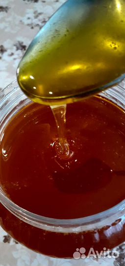 Пчелосемьи