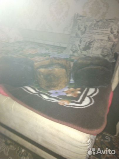 Норковые шапки.цена за одну.Мужские и женская