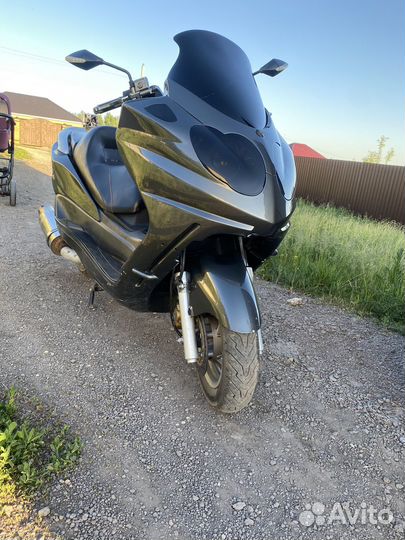 Максискутер