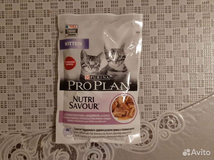 Влажный корм для котят