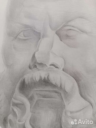 Академический рисунок. Сократ