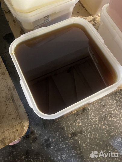 Дягилевый мед свежий оптом