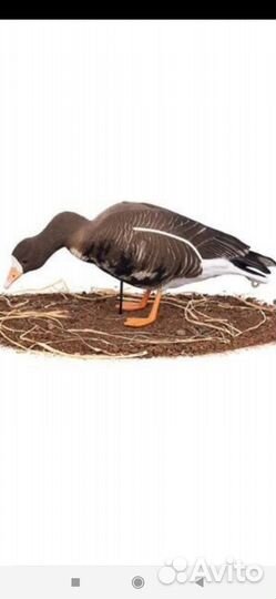 Чучела гусей для охоты