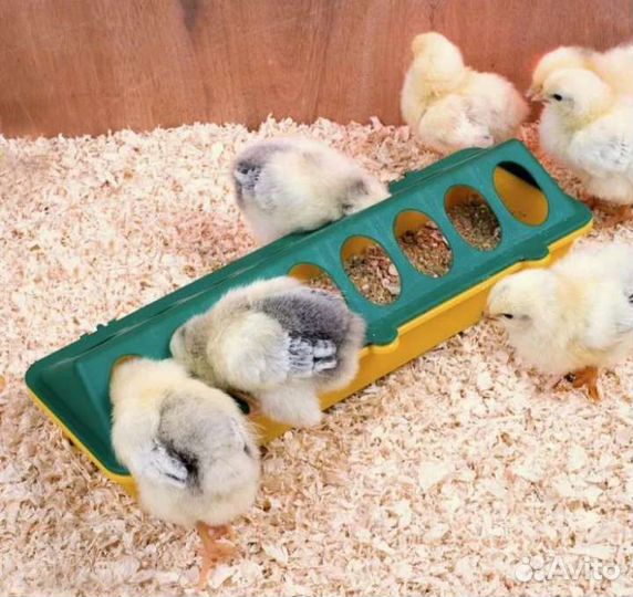 Кормушки поилки для птиц