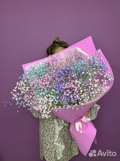 Радужная гипсофила. разноцветная гипсофила