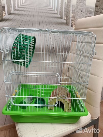 Клетка для джунгарского хомяка