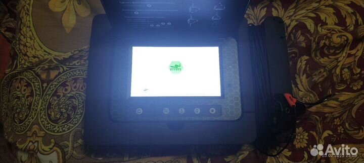 Камеру мурена