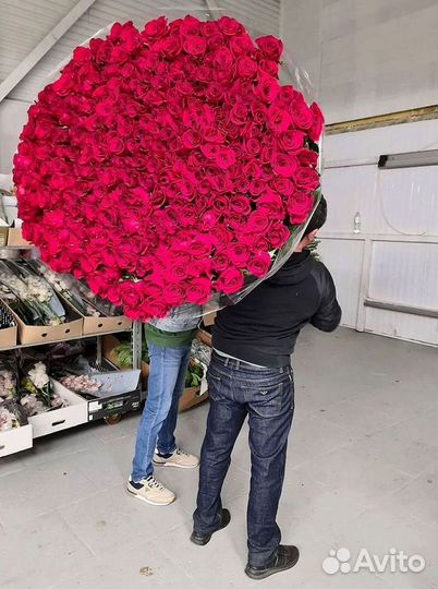 Букет роз 101 роза 51 роза