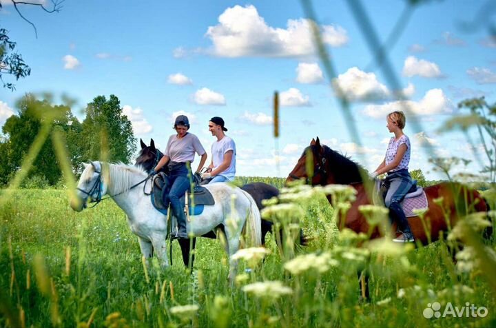 Конные прогулки, фотосессии с лошадьми