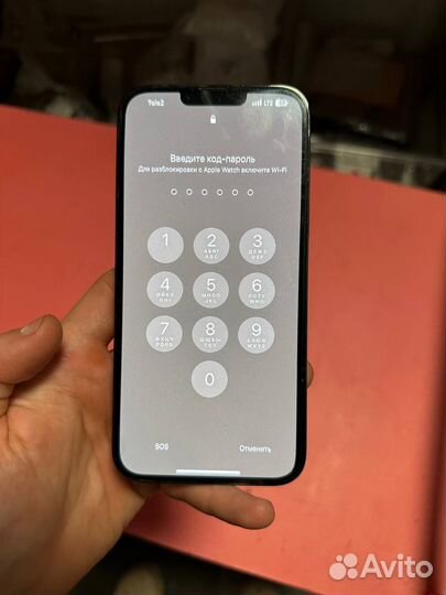 iPhone 13 Pro Max, 256 ГБ