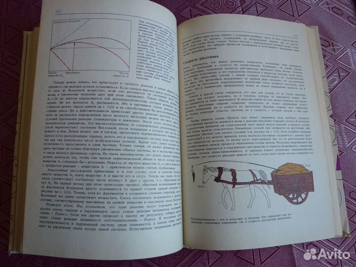 Порядок и беспорядок в природе