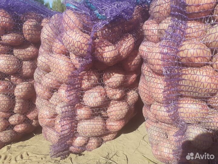 Картофель фермерский