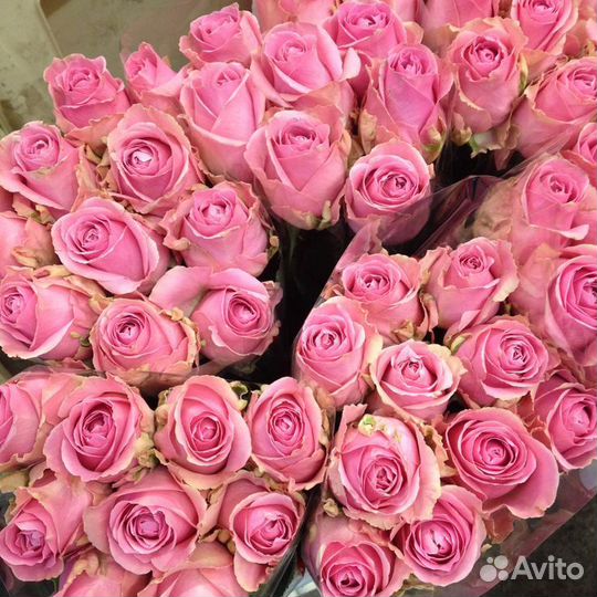 Букет из роз Wham 60 см