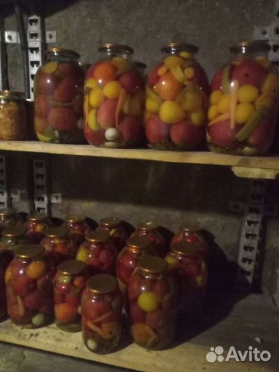 Соленья Домашние