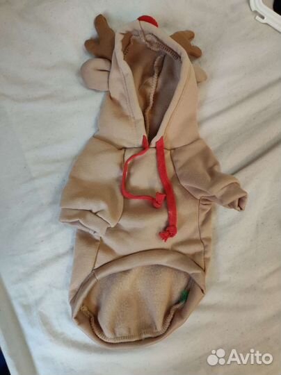 Одежда для собак