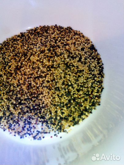 Амарант Семена