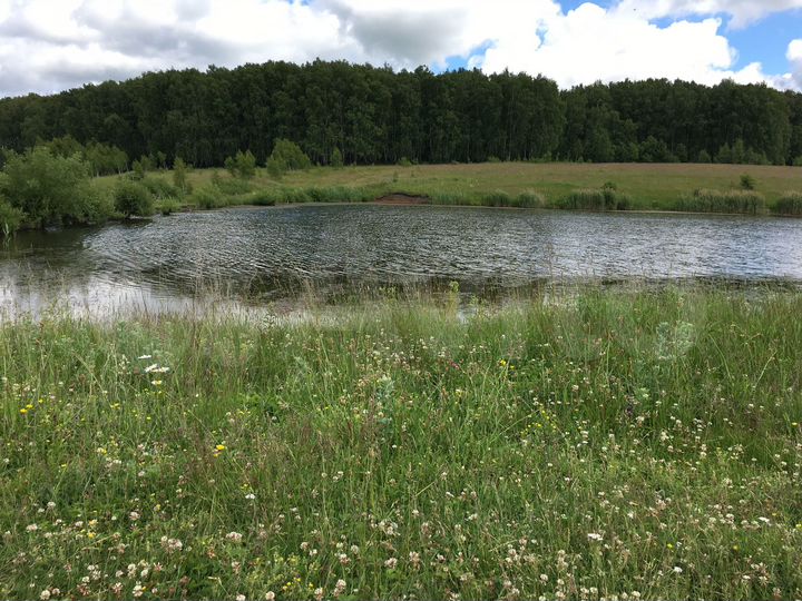 Участок 65 сот. (ИЖС)