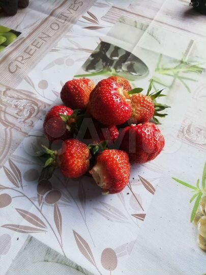 Дом 70 м² на участке 4 сот.