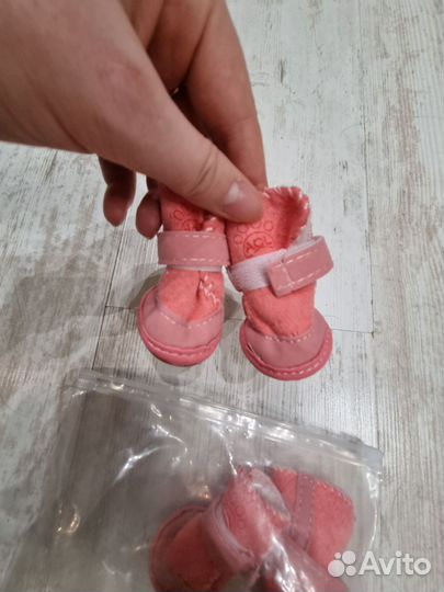 Ботинки для собак