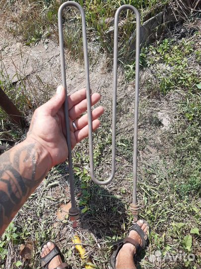 Тена водяная