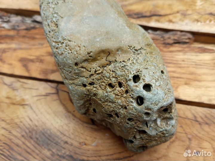 Морские камни,камень декор для аквариума