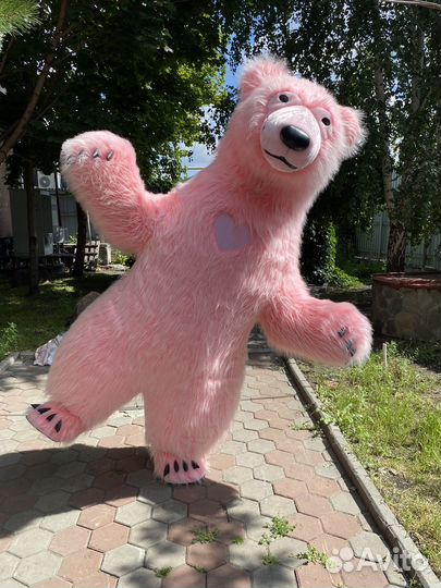 Мишка-Пинки устроит вам праздник