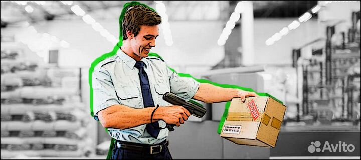 Помощник ревизора