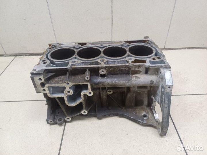 Блок двигателя Nissan Qashqai